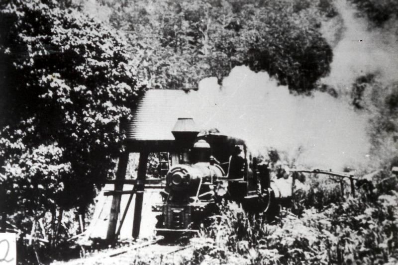 Locomotives on Queensland private railways - ARHS Qld
Slide 2 - Lahey's Tramway Climax locomotive - Canungra area
