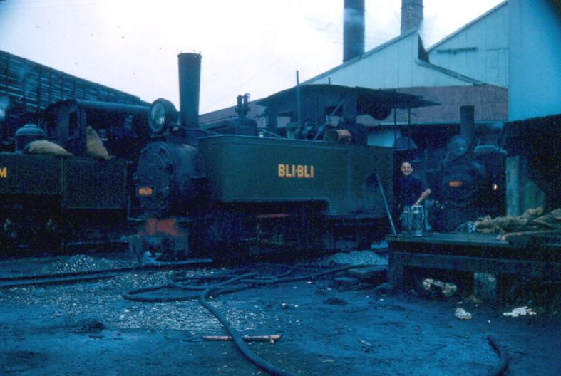 Bli Bli
Bli Bli at Moreton Mill, 1954, 2'.
