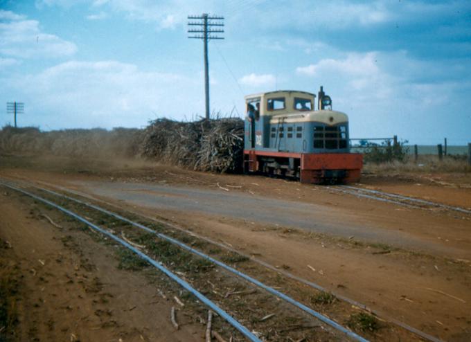 D2 early diesel
D2, an early diesel locomotive on the Isis Mill, 2', 1954.
