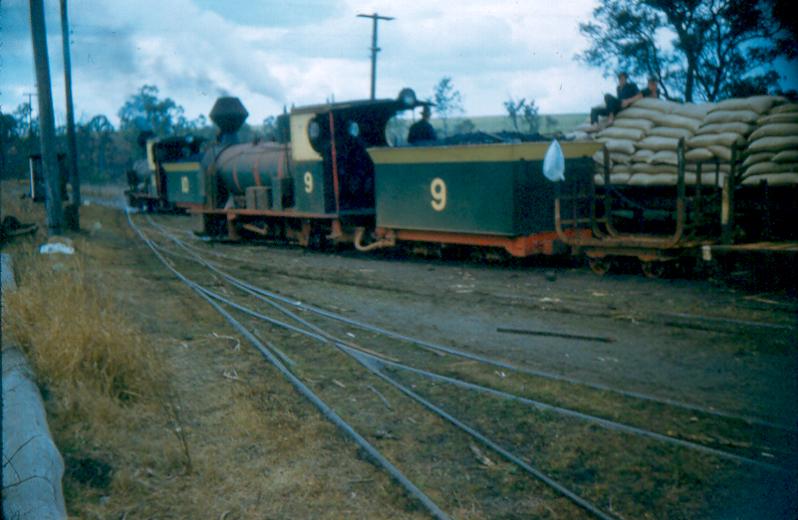 Isis Mill number 9 and 10
Isis Mill number 9 and 10 at Cordalba, 2', 1954.
