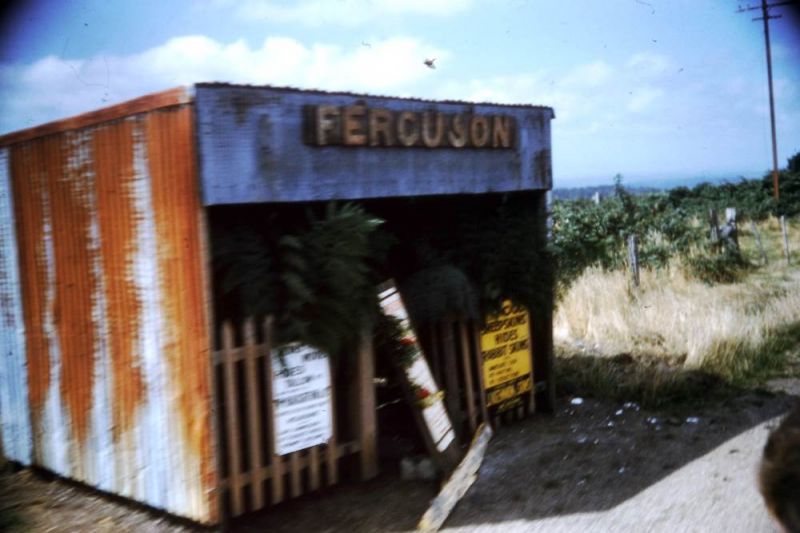 Ferguson station
