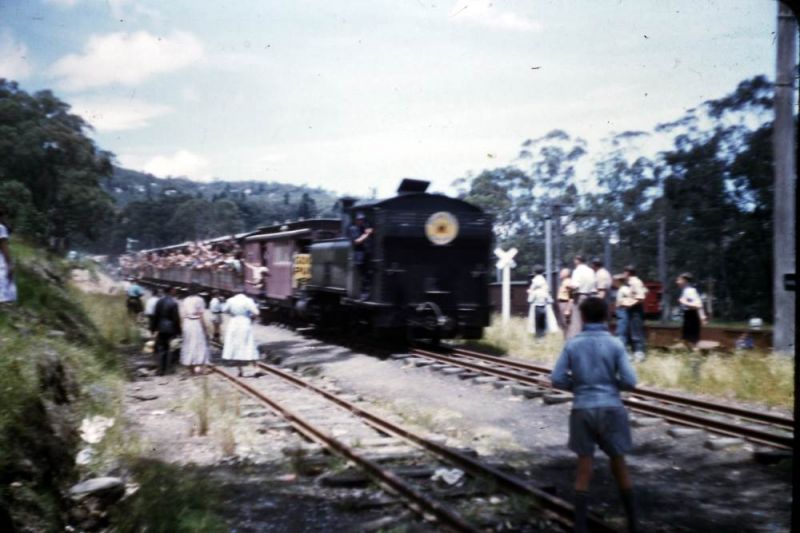 Upper Ferntree Gully to Gembrook line (Puffing Billy)
