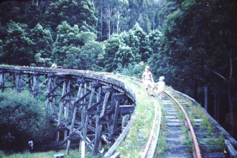 Upper Ferntree Gully to Gembrook line (Puffing Billy)
